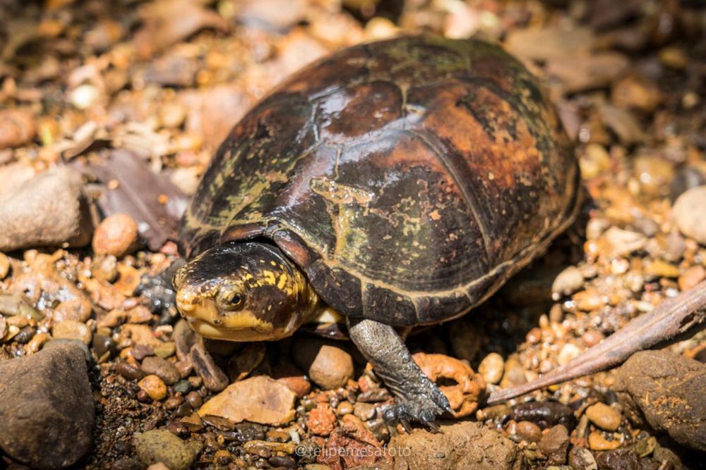 Safio. Una Casa En El Paraiso. Nuquí Zewnętrze zdjęcie